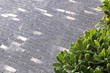 Silver Grey Multi
