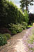 Cotswold